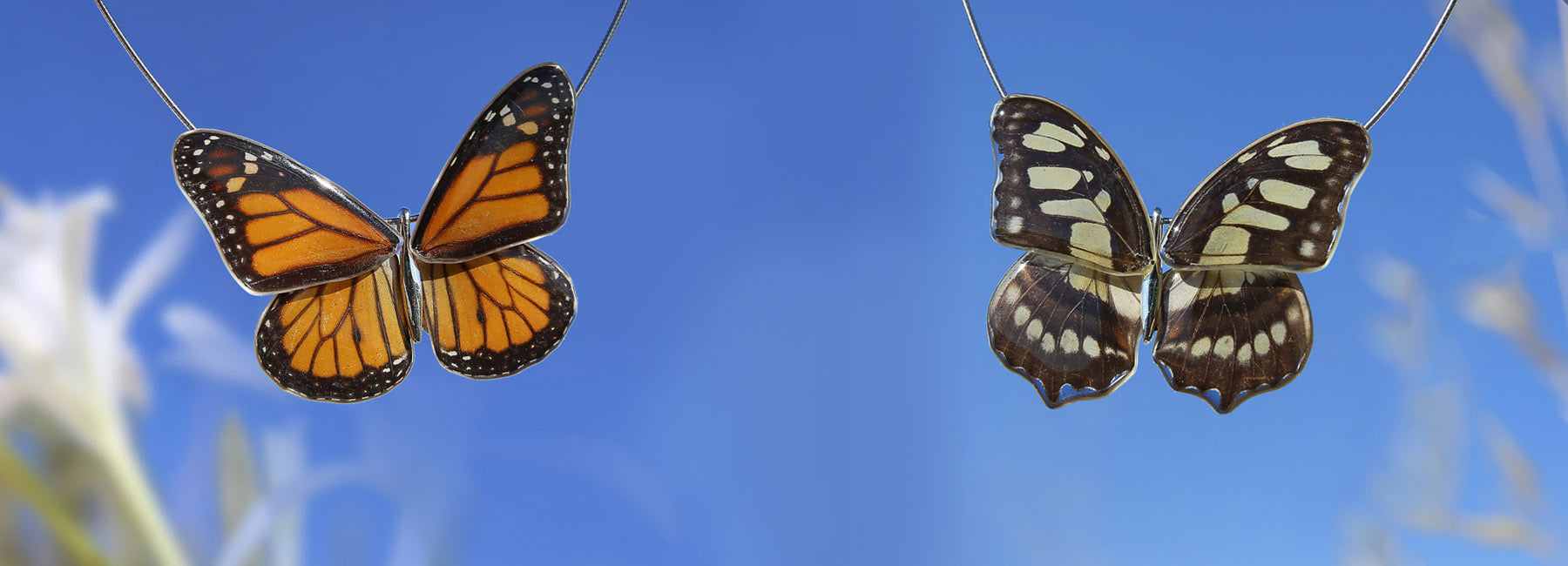 Colección Mariposas