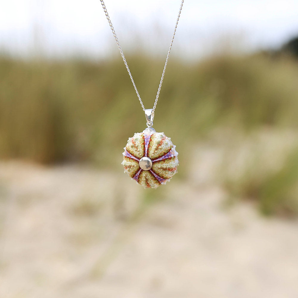 Multicolored Natural Sea Urchin Pendant