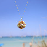 Medium Natural multicolor Sea Urchin Pendant
