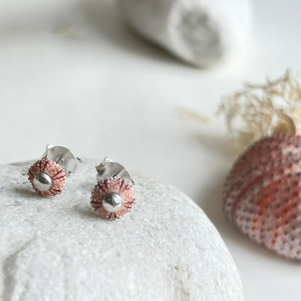 Natural Pink Sea Urchins Stud Earrings