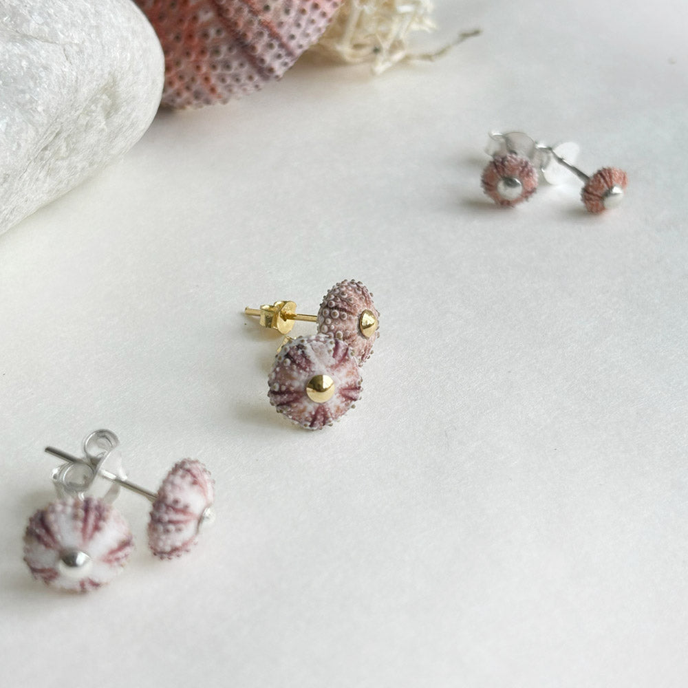 Natural Pink Sea Urchins Stud Earrings