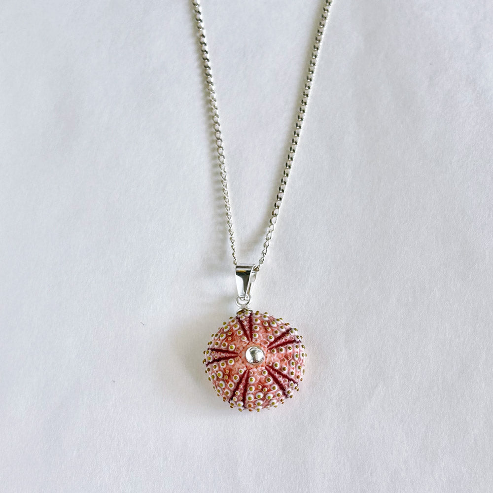 Colgante Erizo Rosa Natural Pequeño