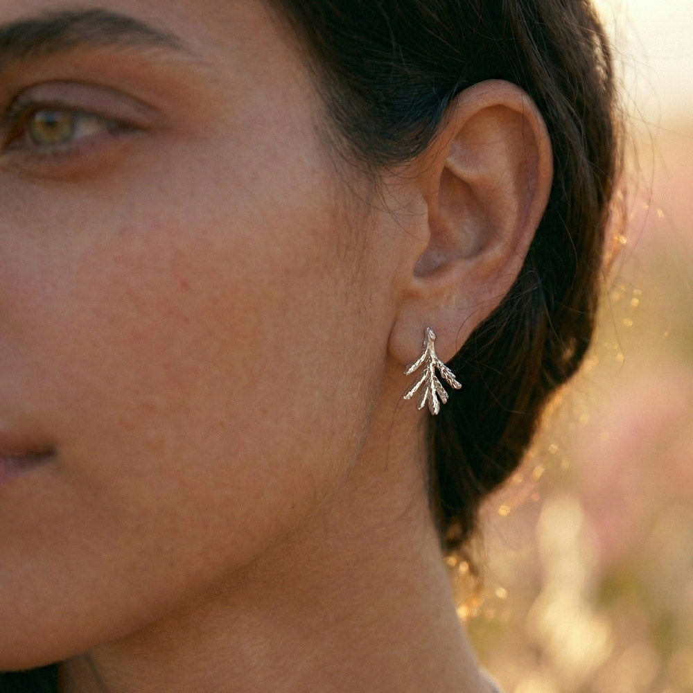 Cypress Stud Earrings SILVER