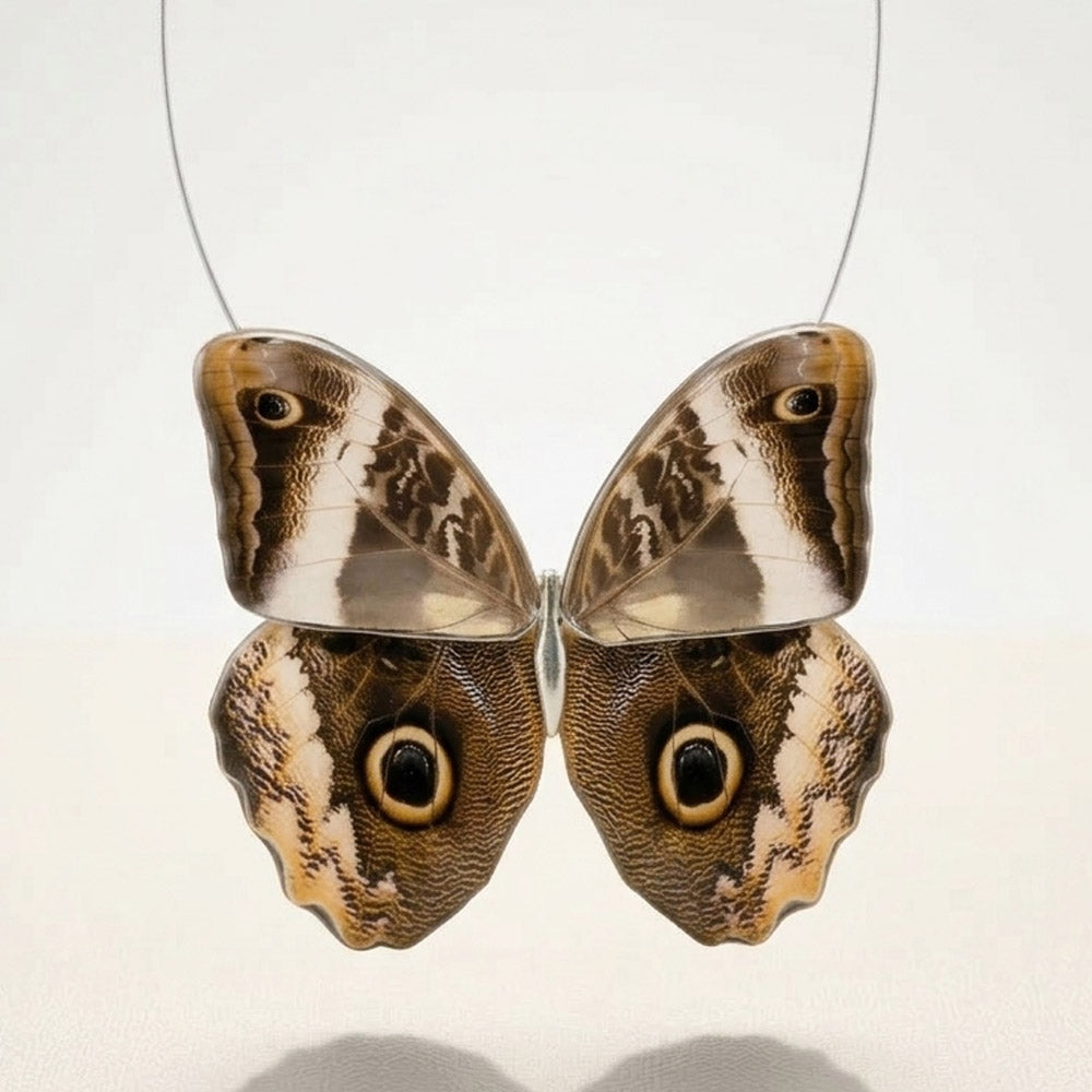 Gargantilla Mariposa Morpho o Búho grande