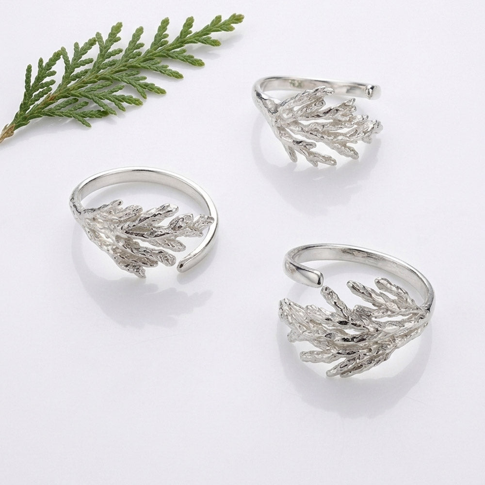 Anillo Ciprés PLATA