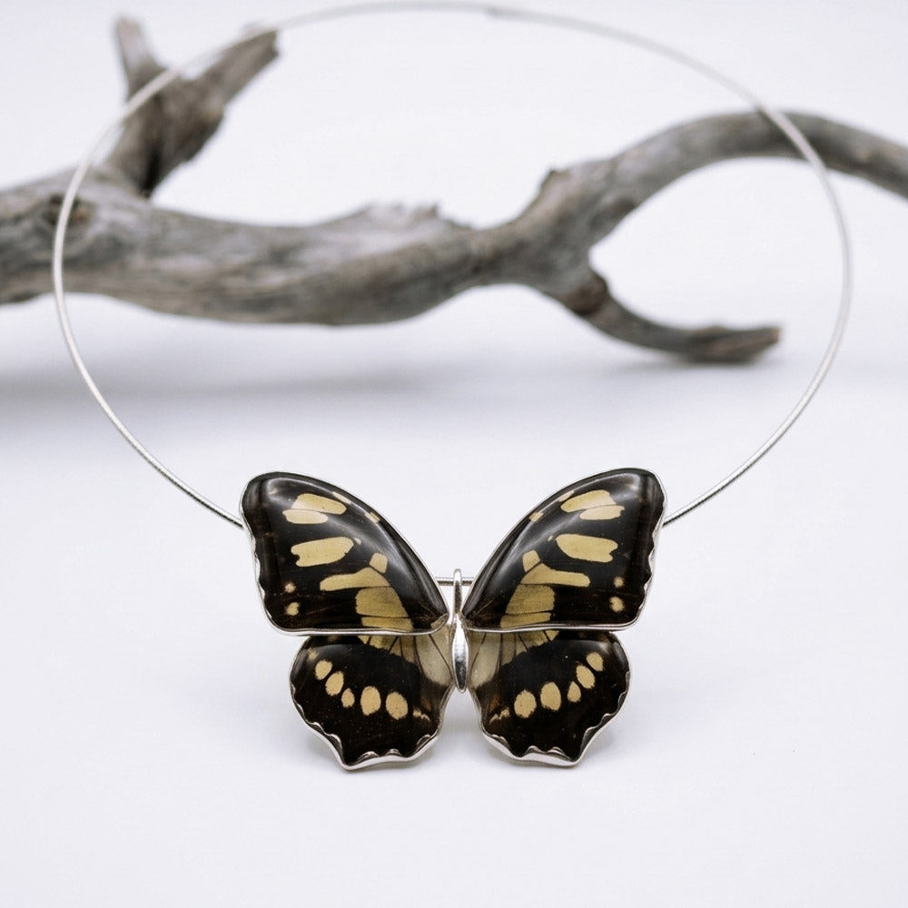 Whole Siproeta Stelenes Butterfly Choker 4 wings