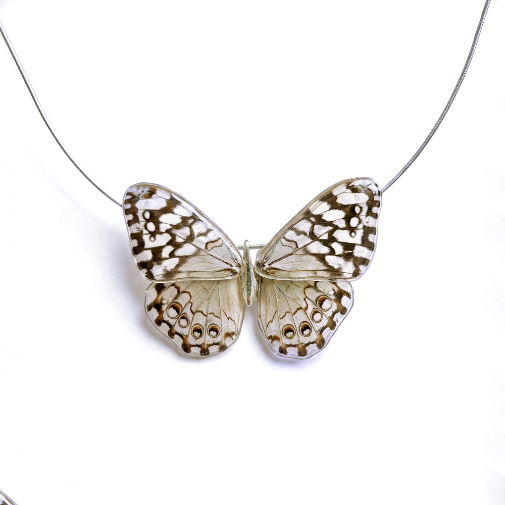 Gargantilla Mariposa Hamadryas entera 4 alas