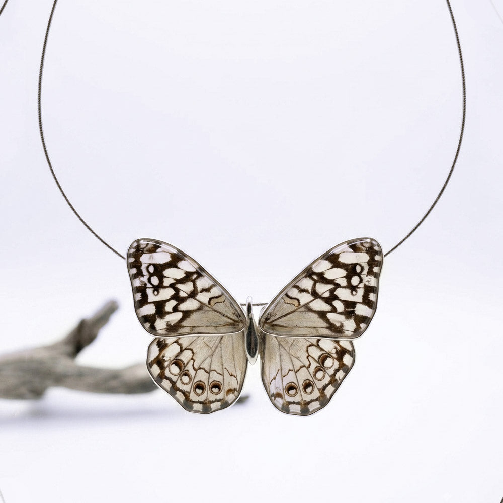 Gargantilla Mariposa Hamadryas entera 4 alas