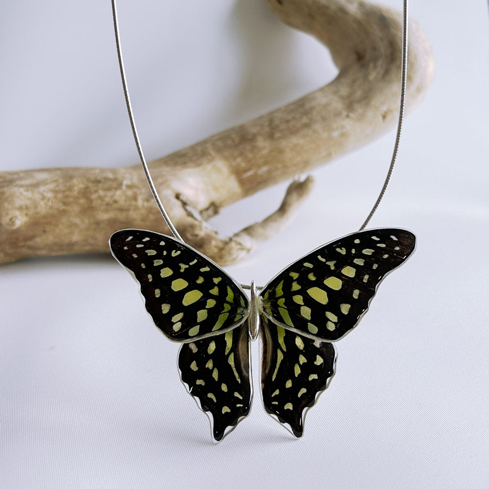 Gargantilla Mariposa Graphium Agamemnon entera 4 alas