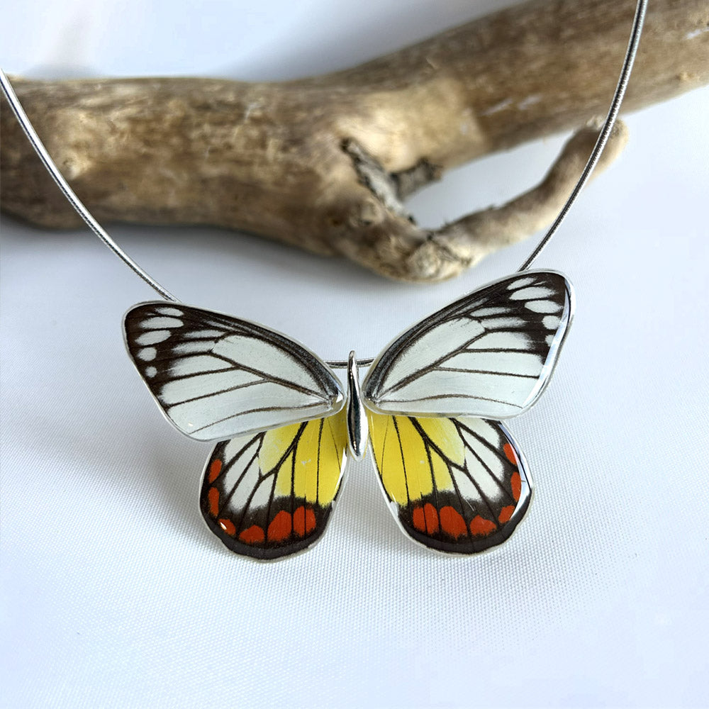 Gargantilla Mariposa entera Delias Hyparete 4 alas