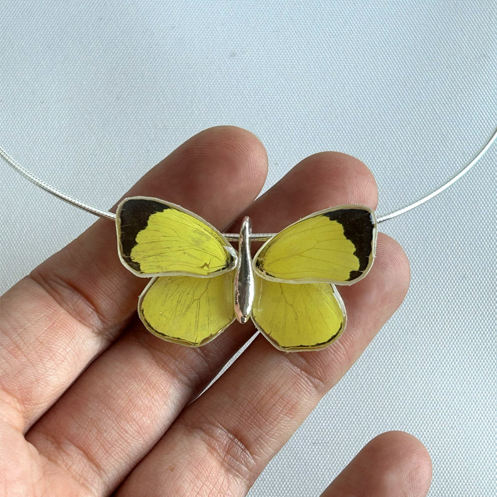 Gargantilla Mariposa Eurema Xanthochlora 4 alas