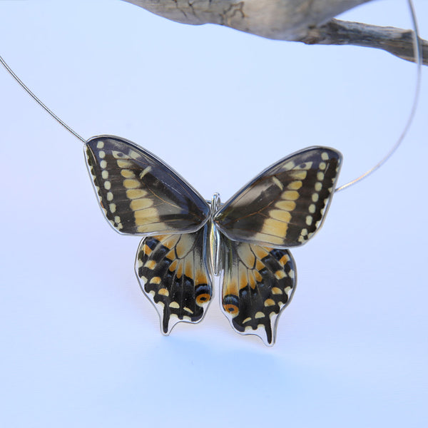 Gargantilla Mariposa Papilio Polyxenes entera 4 alas
