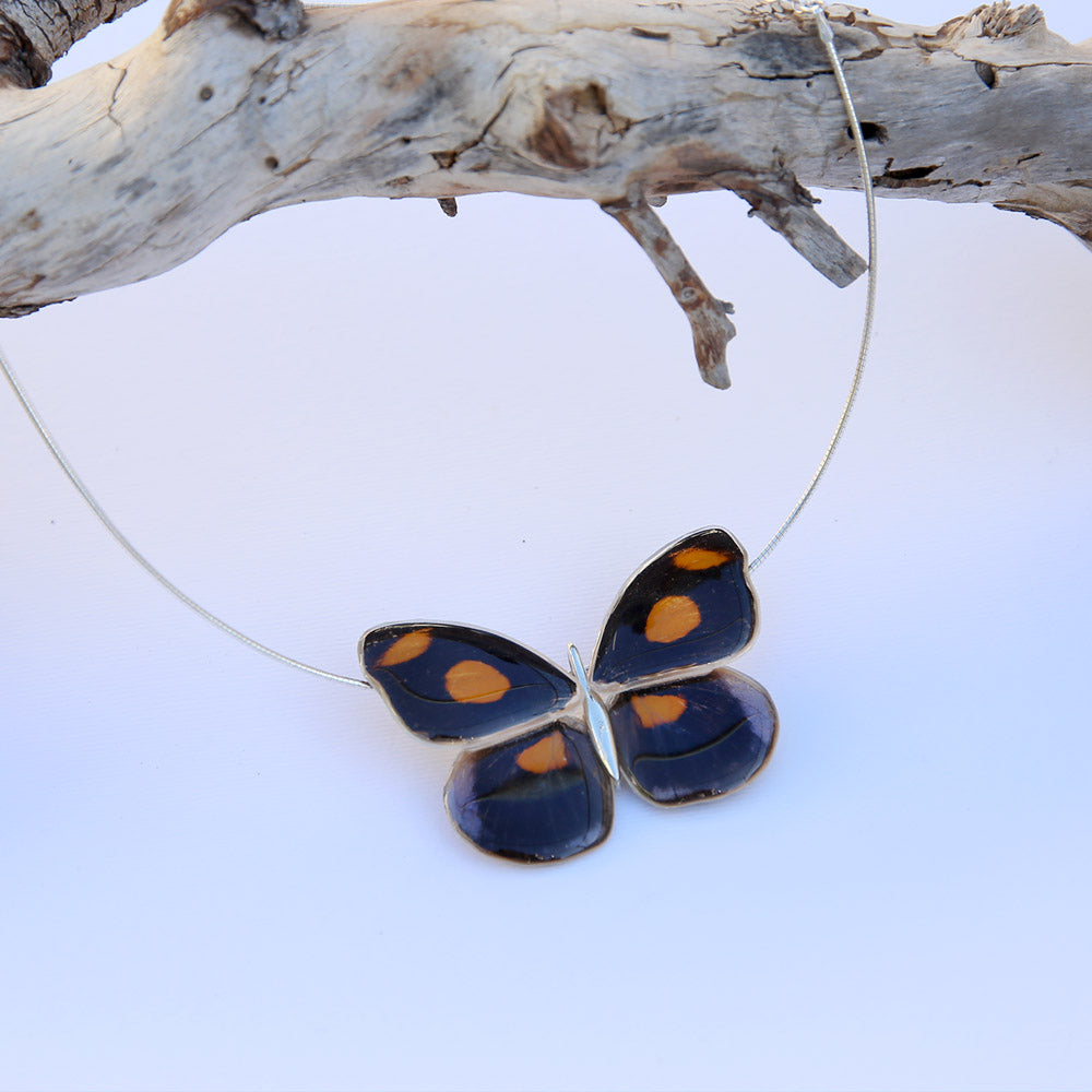 Gargantilla Mariposa Catonephele Numilia entera 4 alas