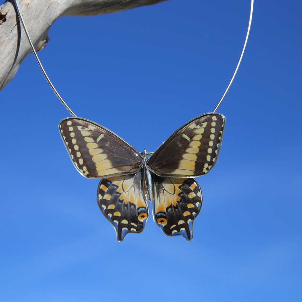 Gargantilla Mariposa Papilio Polyxenes entera 4 alas
