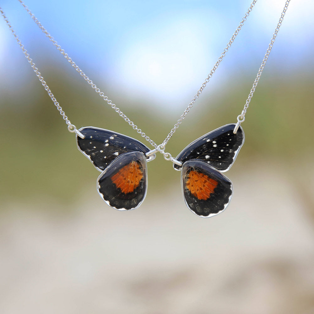 2 Chlosyne Janais Butterfly Chokers
