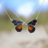 2 Chlosyne Janais Butterfly Chokers