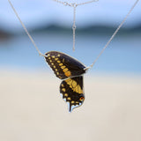 2 Butterfly Necklaces Papilio polyxenes