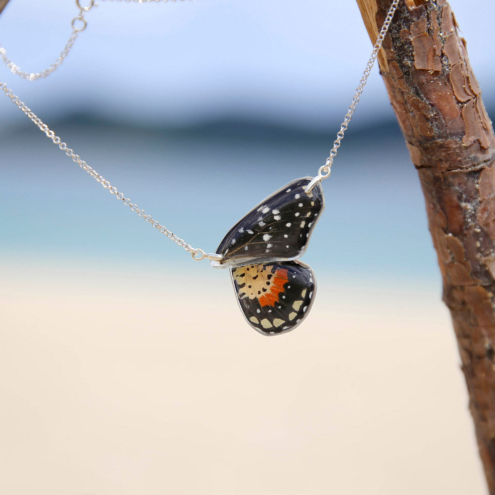 Gargantilla Mariposa Chlosyne Janais