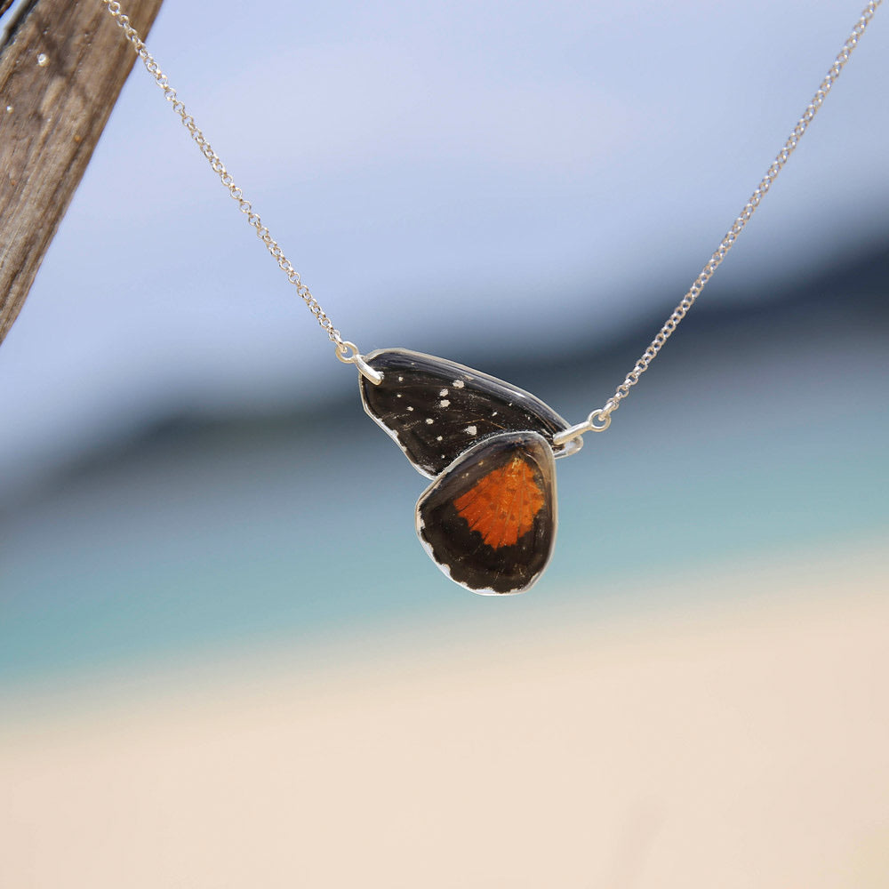 Chlosyne Janais Butterfly Choker