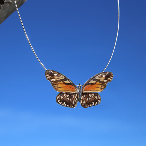 Full Dione Juno Butterfly Choker 4 Wings