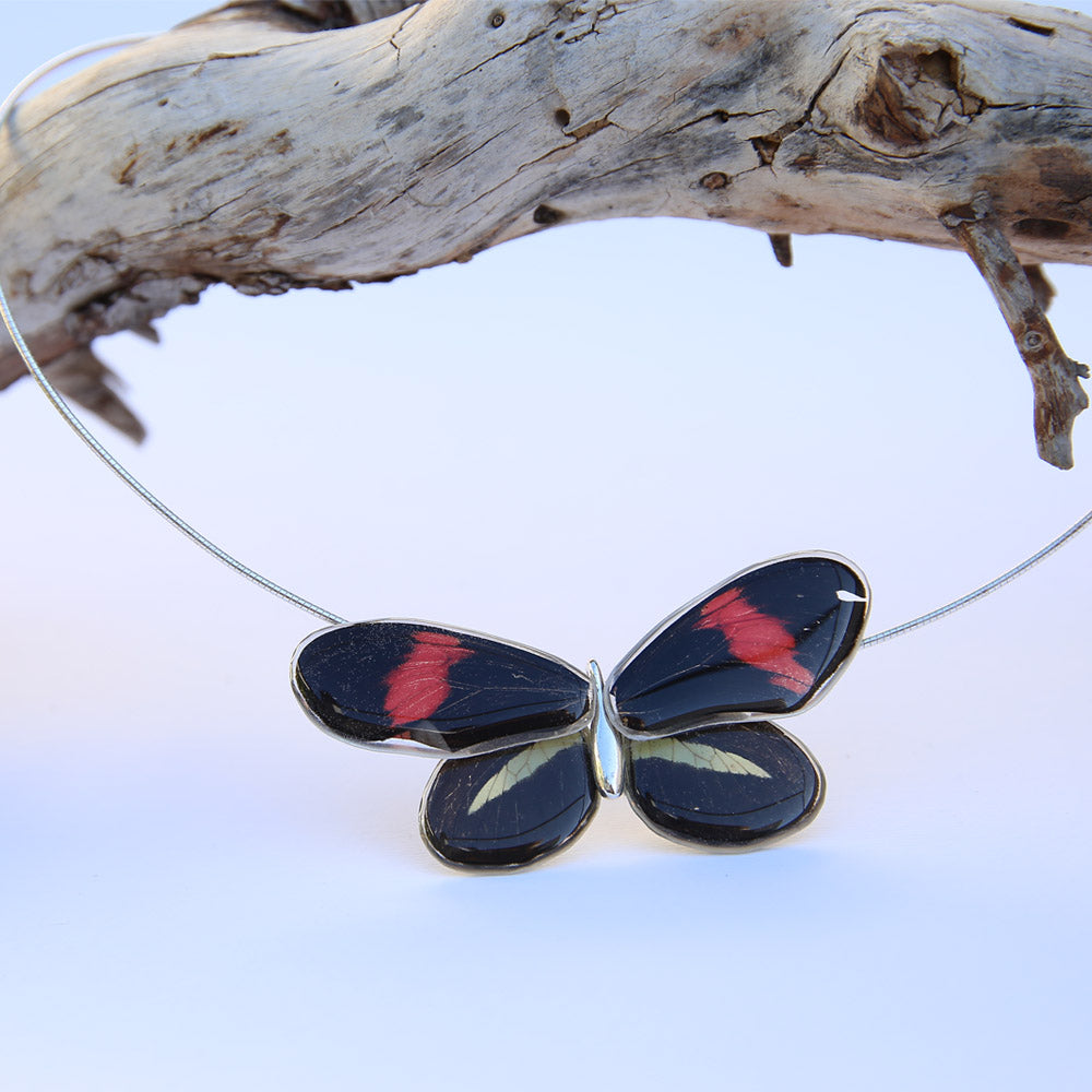 Whole Heliconius Melpomene Butterfly Choker 4 wings