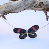 Whole Heliconius Melpomene Butterfly Choker 4 wings