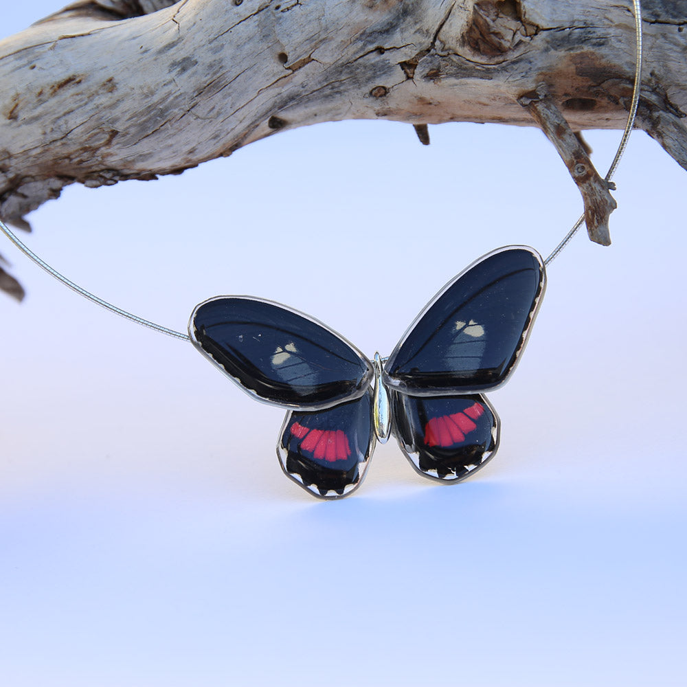 Gargantilla Mariposa Parides Arcas entera 4 alas