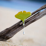 Green Ginkgo needle brooch