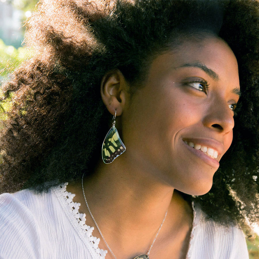 Pendientes Mariposa Siproeta Stelenes largos