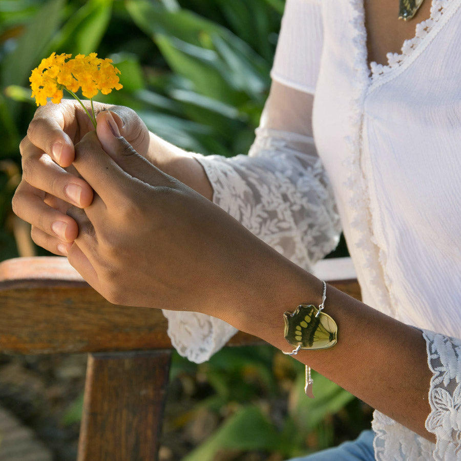Pulsera Mariposa Siproeta Stelenes