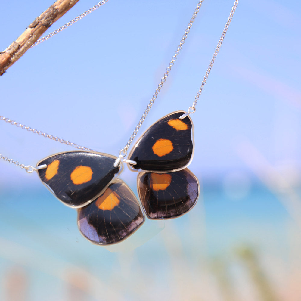 2 Gargantillas Mariposa Catonephele Numilia