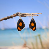 Pendientes Mariposa Catonephele Numilia ala superior