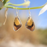 Pendientes Mariposa Catonephele Numilia ala superior