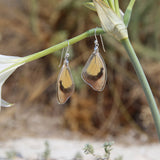Pendientes Mariposa Catonephele Numilia ala superior