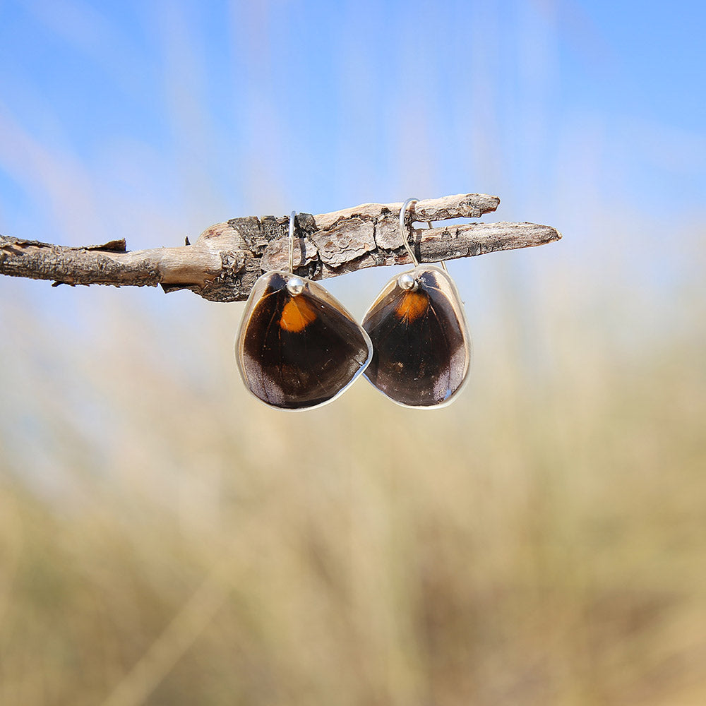 Pendientes Mariposa Catonephele Numilia ala inferior