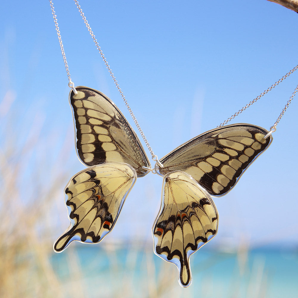 2 Gargantillas Mariposa Papilio Thoas