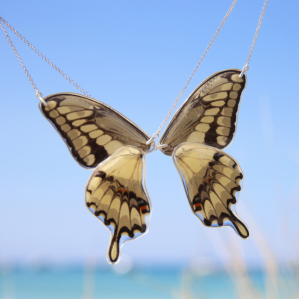 2 Gargantillas Mariposa Papilio Thoas