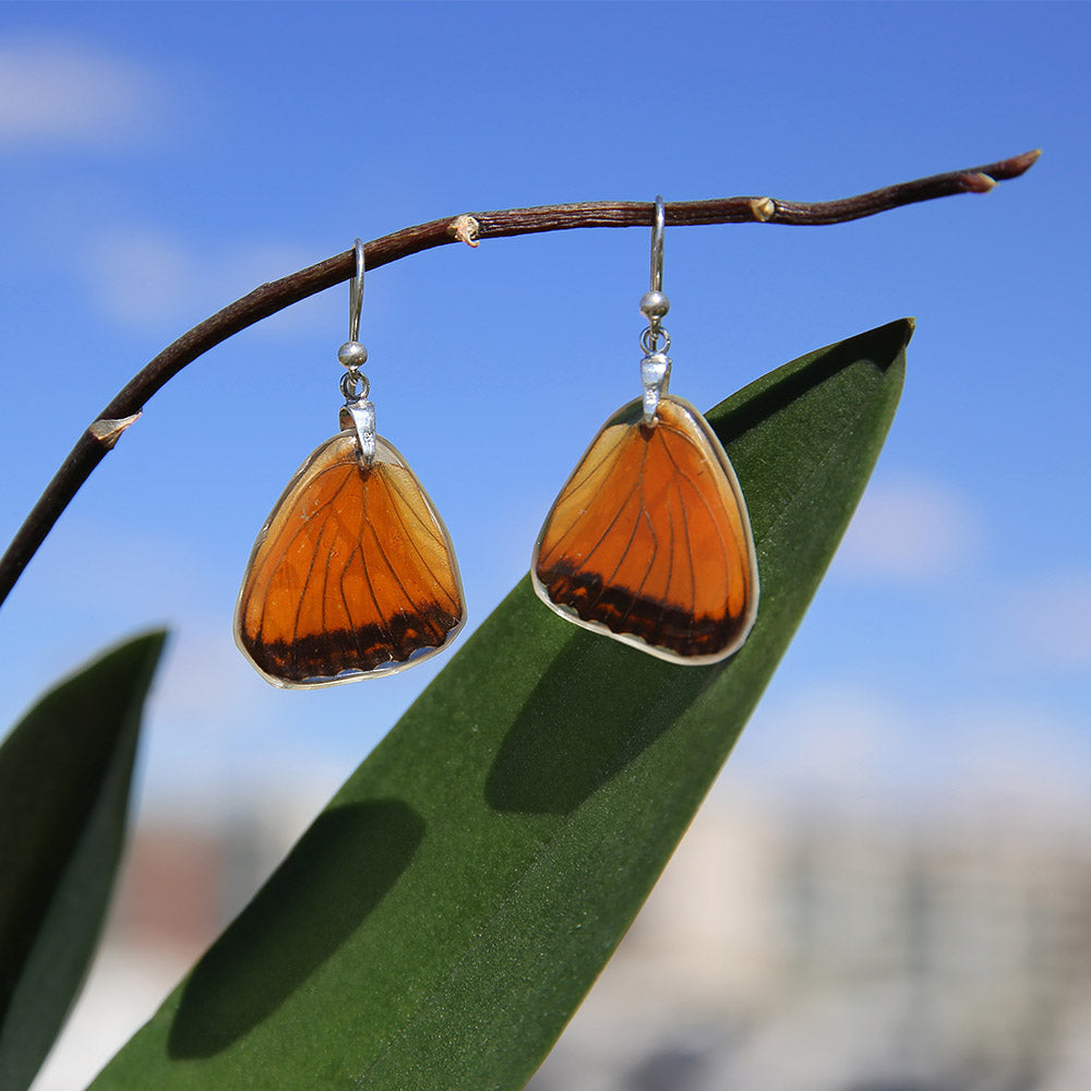 Pendientes Mariposa Dione Juno ala inferior