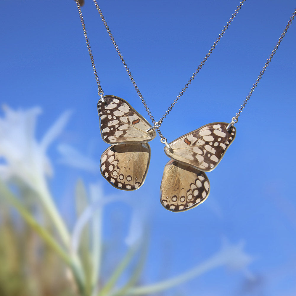 Pendientes Mariposa Siproeta Stelenes largos