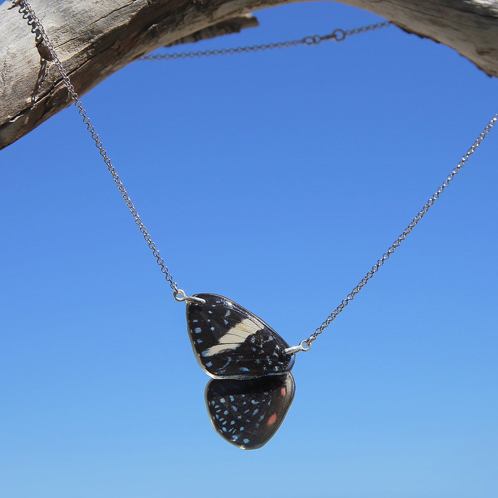 Gargantilla Mariposa Hamadryas Amphinome