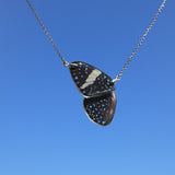 Gargantilla Mariposa Hamadryas Amphinome