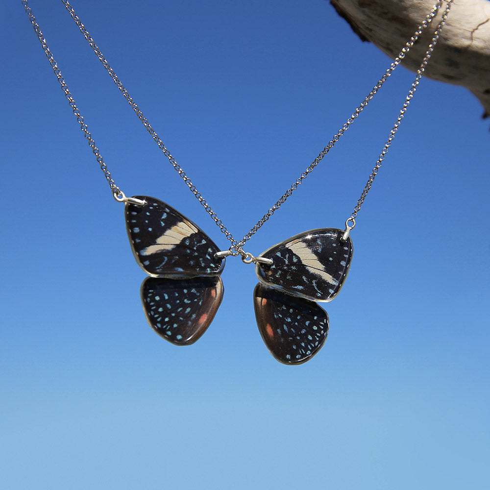 2 Gargantillas Mariposa Hamadryas Amphinome lo