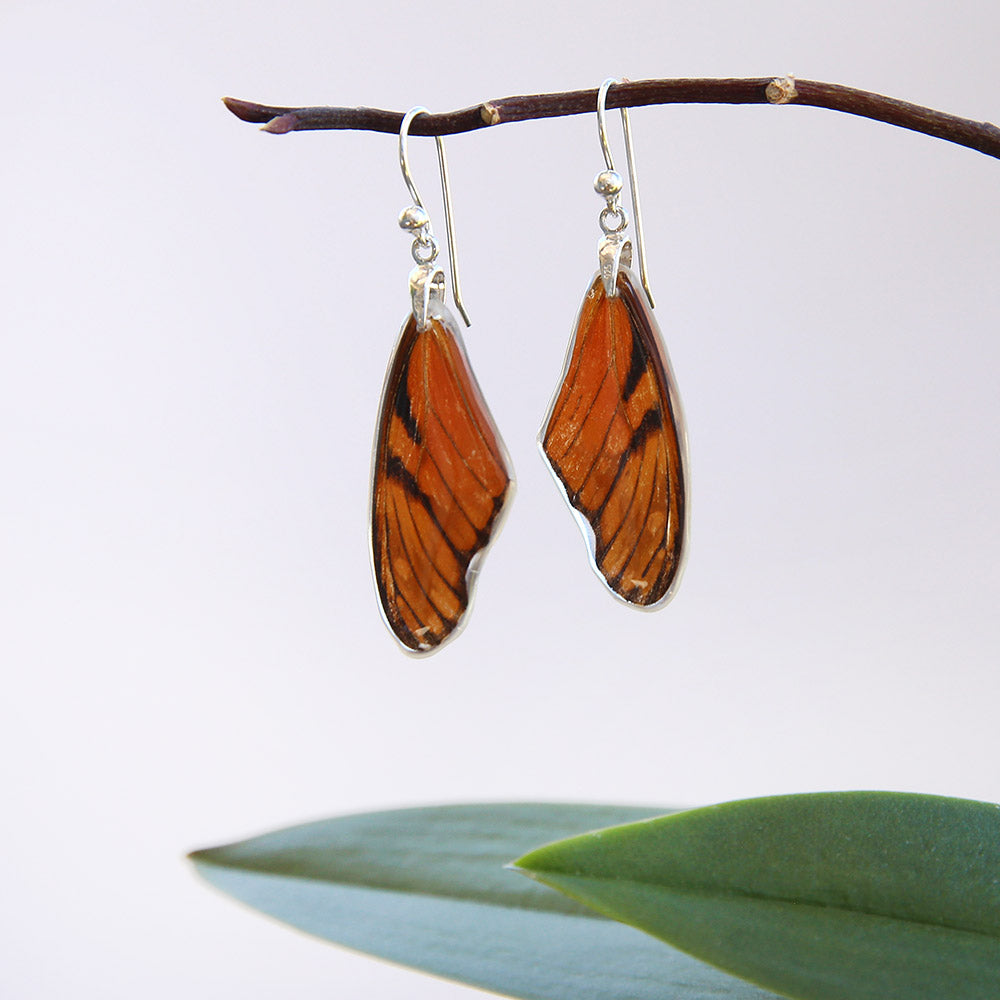 Dione Juno Upper Wing Butterfly Earrings