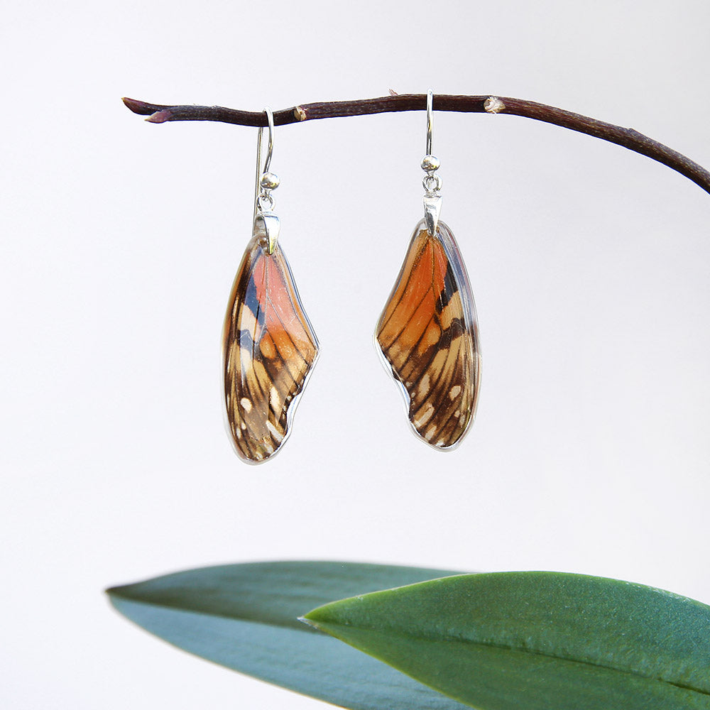 Dione Juno Upper Wing Butterfly Earrings