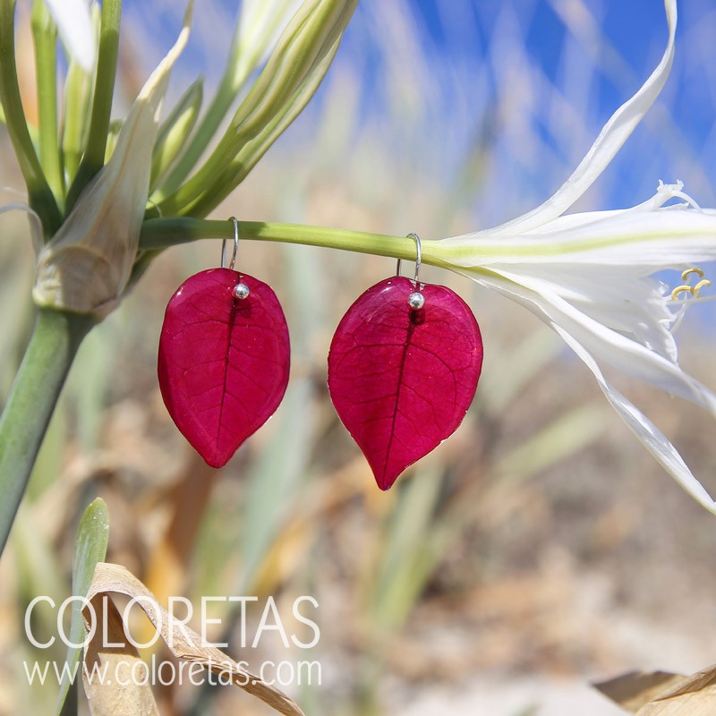 Bougainvillea earrings deals