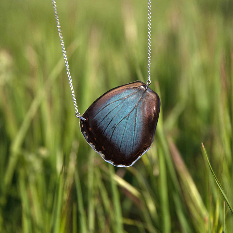 Morpho Peleides Butterfly Choker