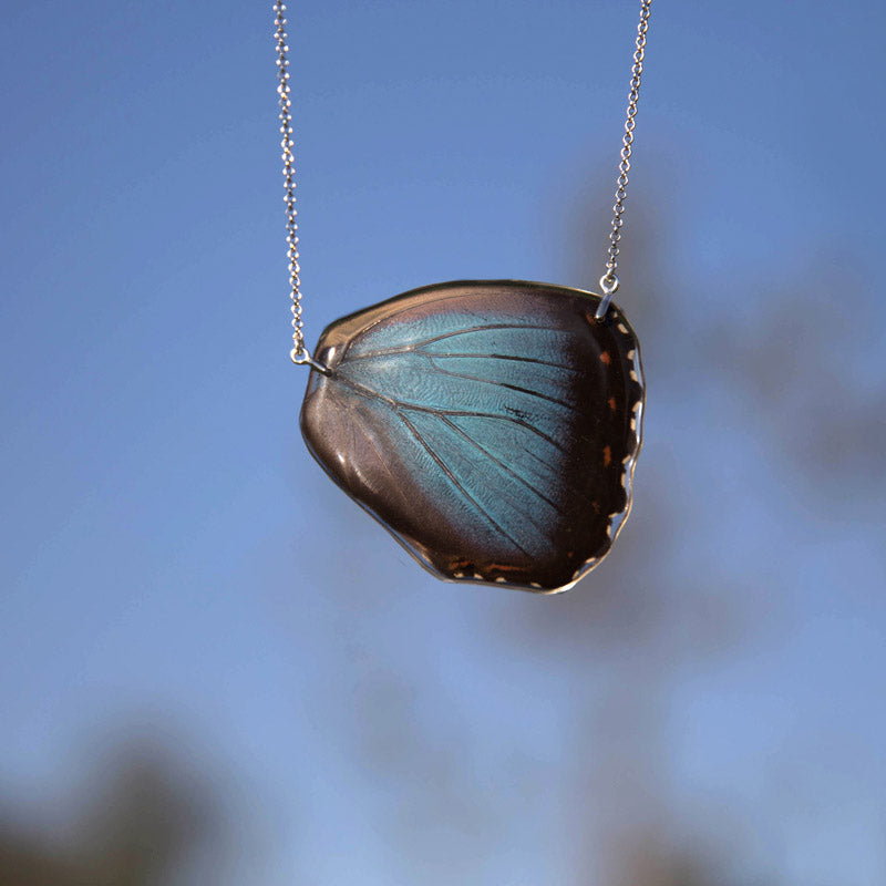 Morpho Peleides Butterfly Choker