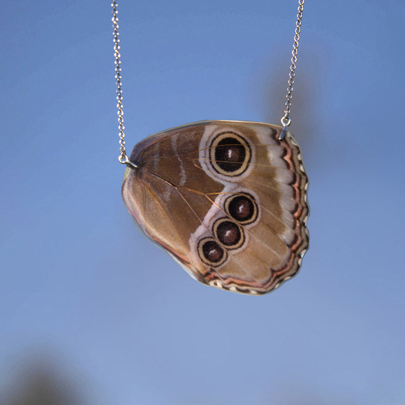 Gargantilla Mariposa Morpho Peleides