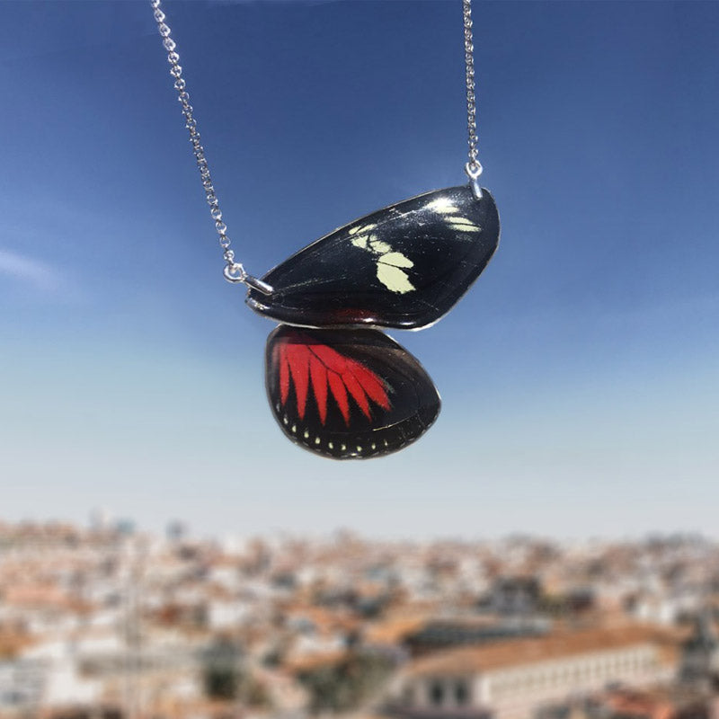 Heliconius Doris Butterfly Choker