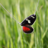 Gargantilla Mariposa Heliconius Doris